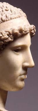 The Archaeological Civic Museum of Bologna